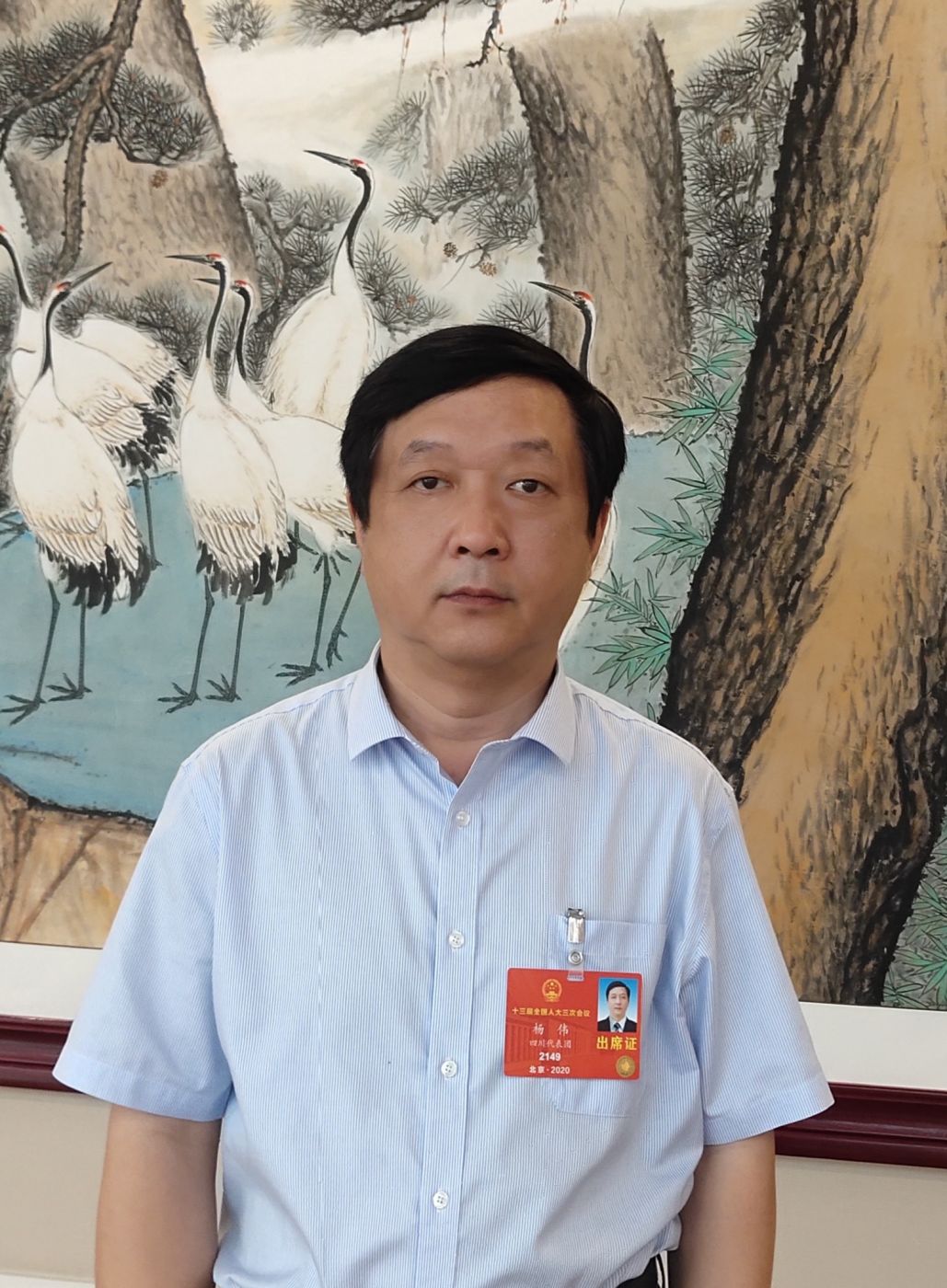 2.全国人大代表、中国科学院院士、九游jiuyou（中国）副总经理杨伟